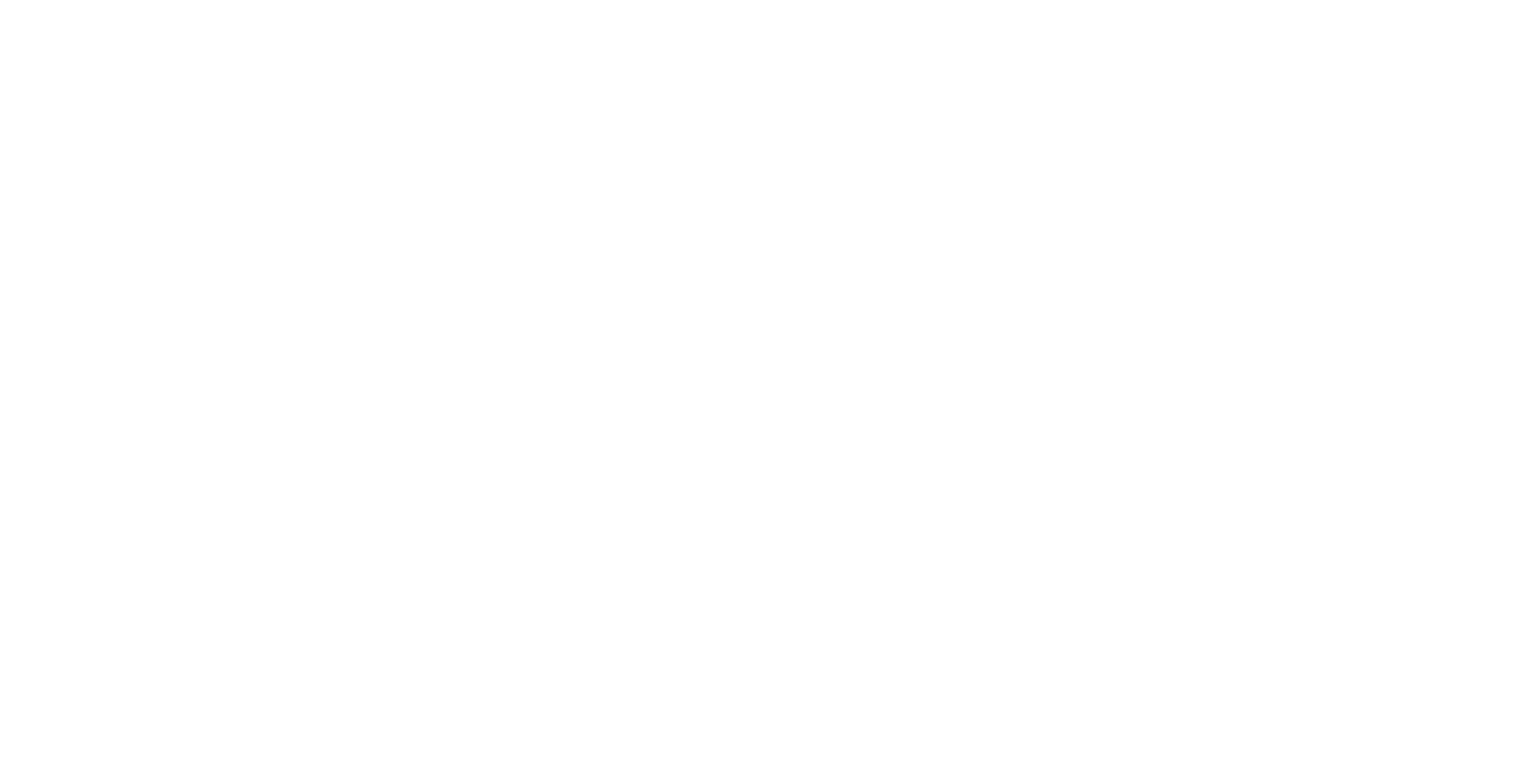 VeriPhone